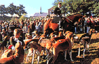 St Hubert and hunting