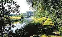 River Scarpe