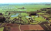 Audomarois marshes around Saint Omer