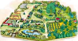 Botanica plan