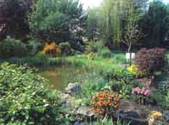 Botanic gardens
