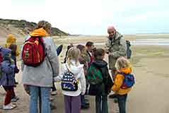 Arena - Ecault world of sand dunes study centre: beach