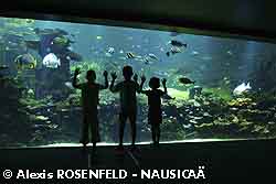 Nausicaa Boulogne -Look under the Tropical lagoon