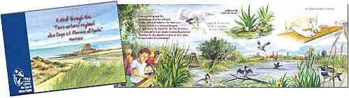 "A Stroll through the Nature Park" - illustrated booklet to download