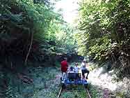 Rando-Rail through the woods