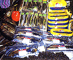 fish products