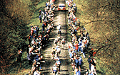 Paris-Roubaix cycle race