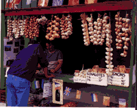 Onion and garlic market stall